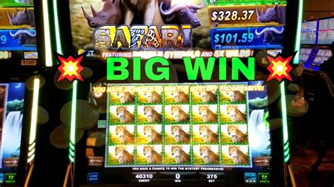 big 5 safari casino game